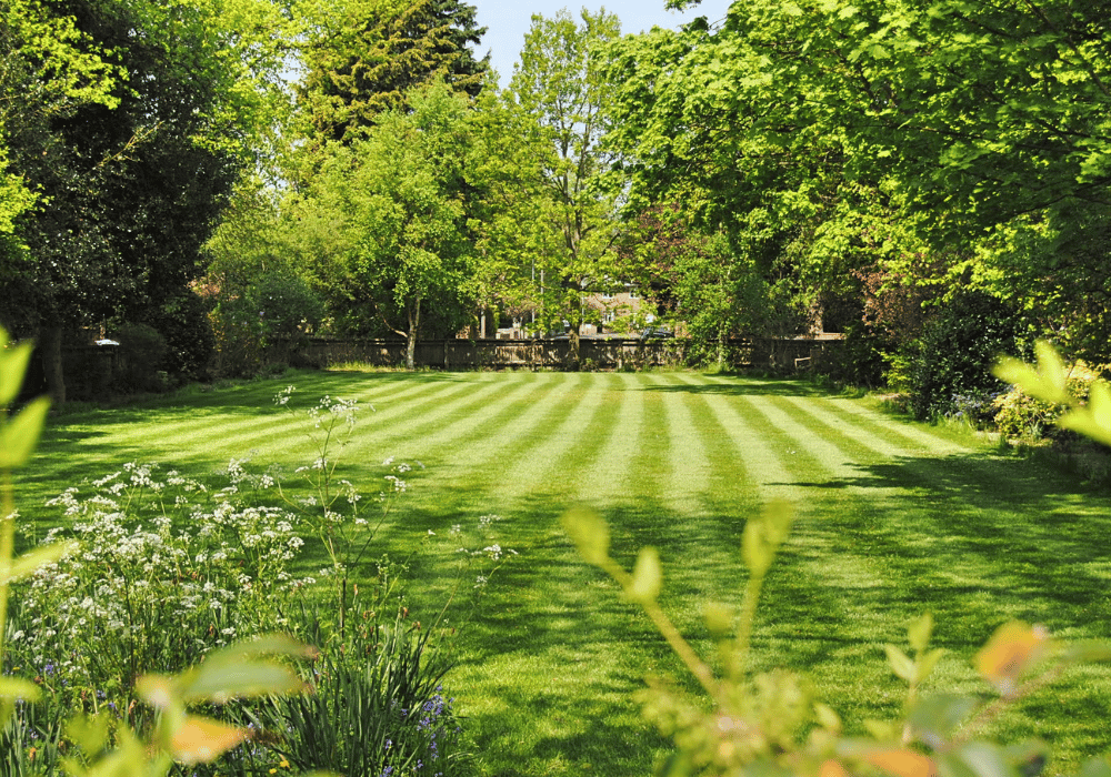 beautiful lawn residential