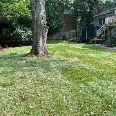 Lawn care 4