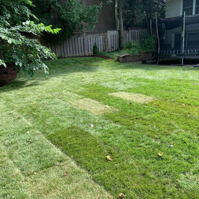 Lawncare 5_
